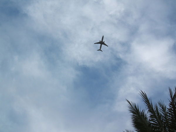 Надежда Пискунова