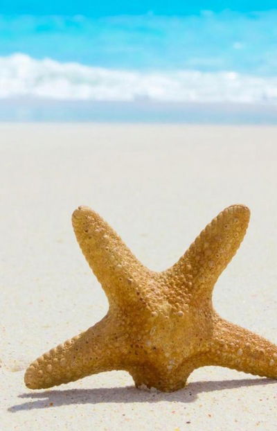 Ольга Иванова