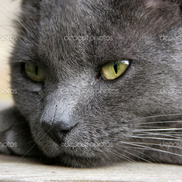 Анастасия Колунова