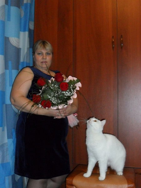 Елена Волкова