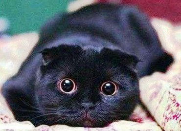 Евгения Васильевна