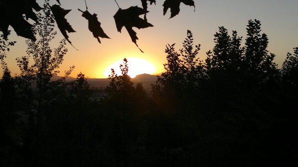 Баян Айтимбетова