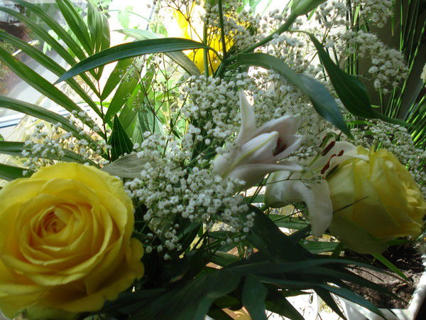 Смоленское Лесничество