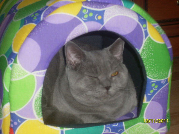 Марина Иваницкая