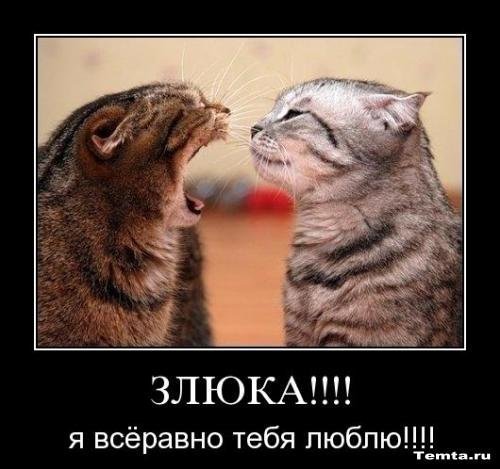 Анастасия Фролова