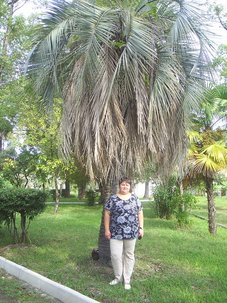 Марина Курицына