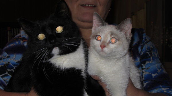 Вера Погуляева