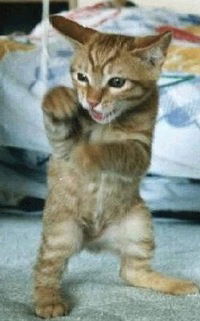 Руслан Миначов