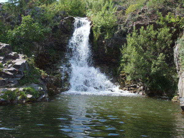 Игорь Малкеров