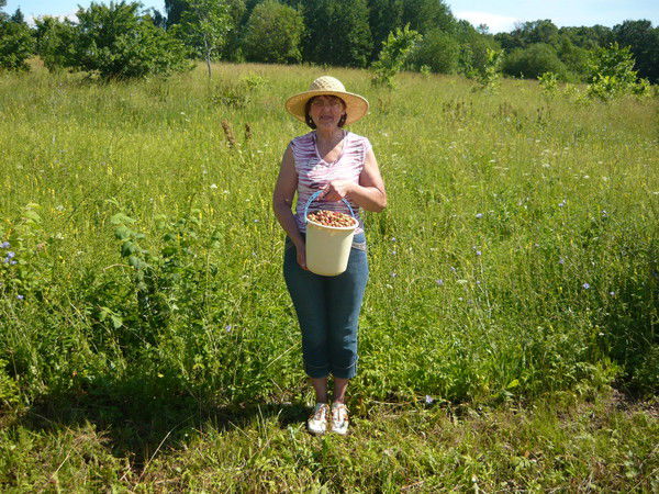 Елена Хилобок