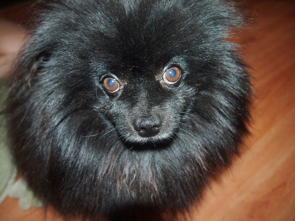 Екатерина Попова Дз