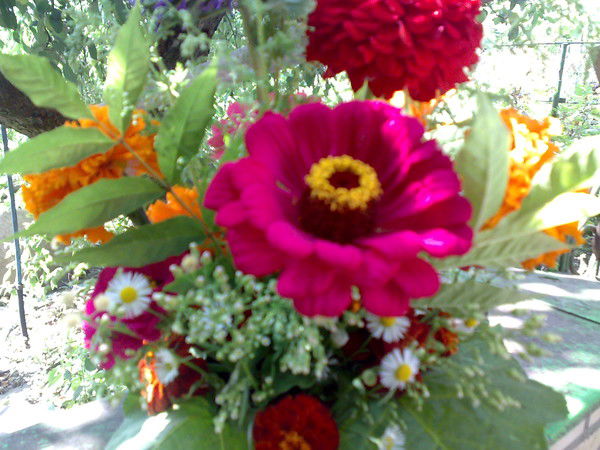 Неля Коржук