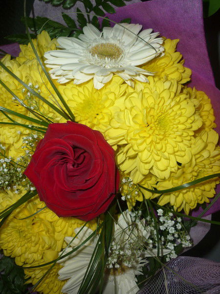 Гузель Пузырёва