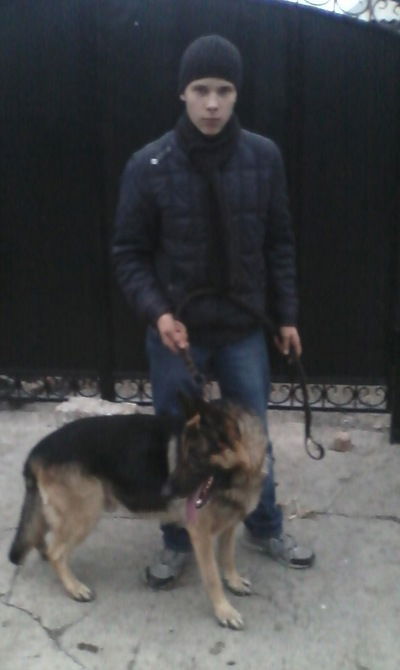 Илья Новиков