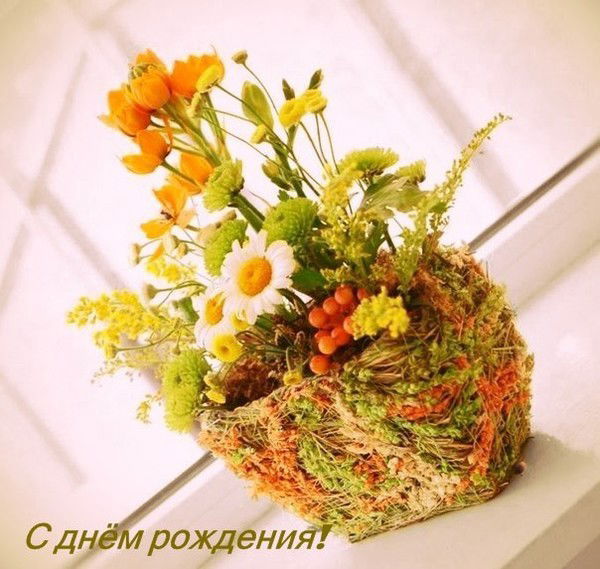 Елена Сахарова