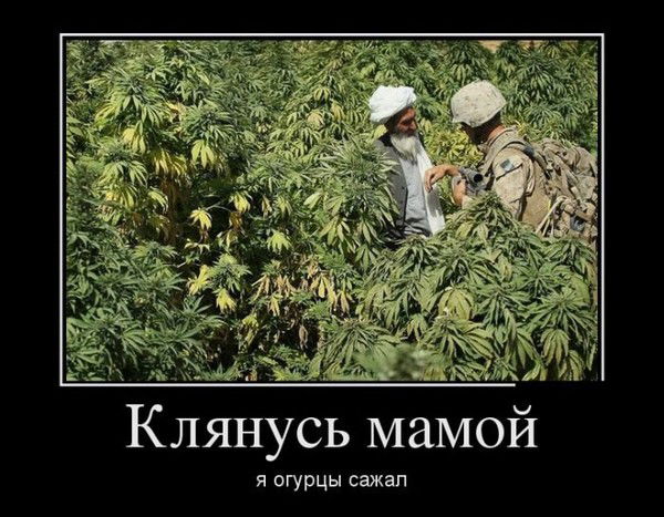 Василь Гіль