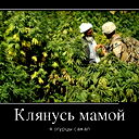 Василь Гіль