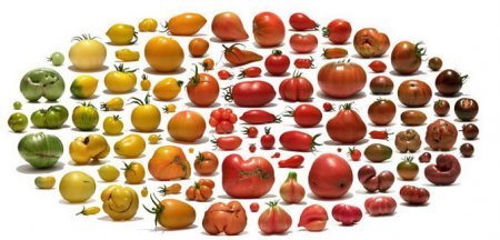 Людмила Моржова