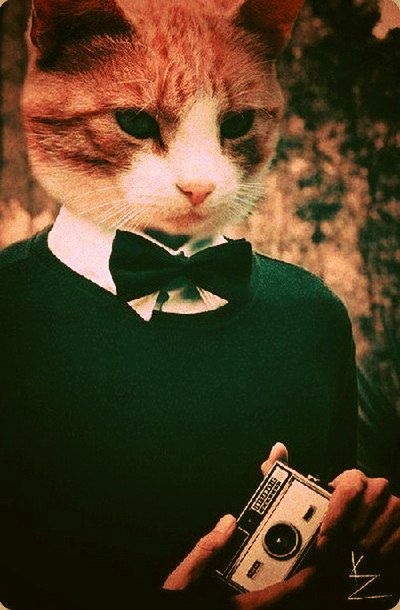 Даниил Рудцов