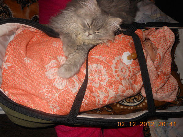 Валентина Сушко