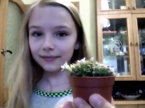 Анастасия Князева