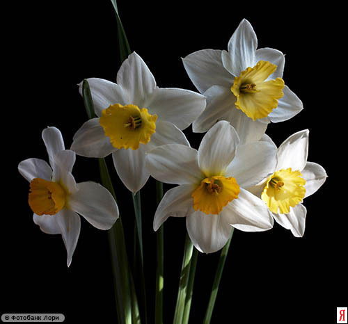 Зоя Малинкина