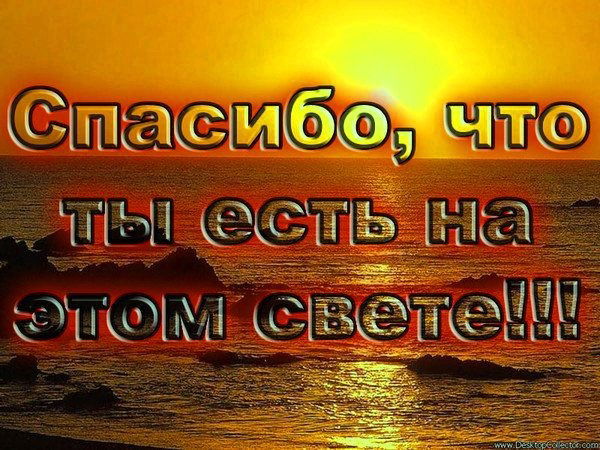 Алексей Селеверстов