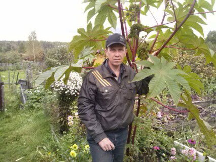 Владимир Улитин