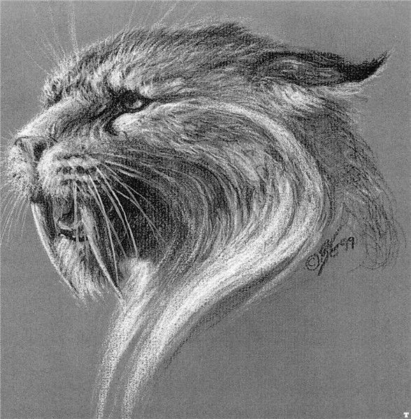 Евгений Сергеев