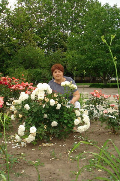 Светлана Сахарова