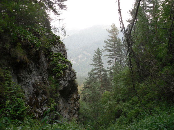 Наталья Напалкова