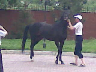 Самат Сулейменов