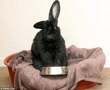 Адилжан Турдахунов