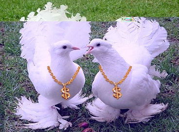 Юрий Алешкин