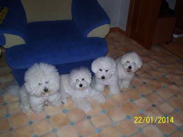 Марат Валиуллин