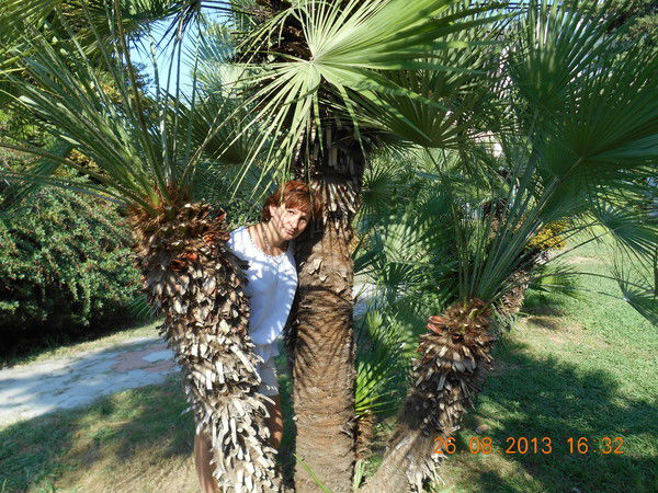 Татьяна Вареникова