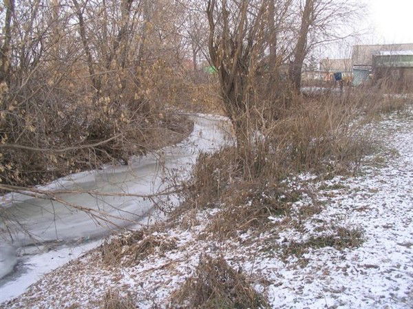 Вадим Кашпирев