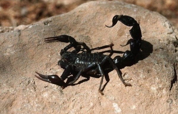 Наталия Дюдюк