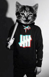 Данил Гугин