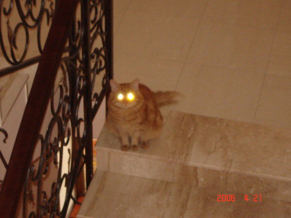 Александр Гудемчук