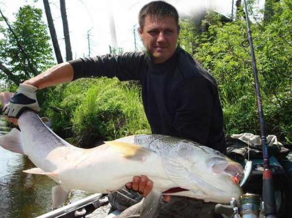 Александр Трейт