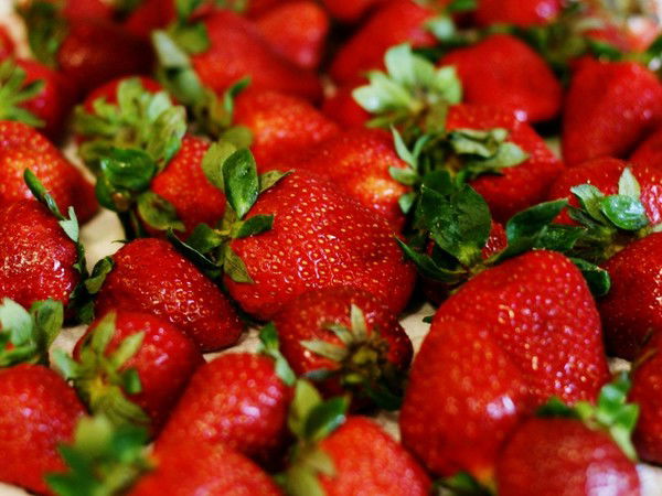 Жирова Татьяна