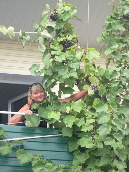 Наталья Растегина