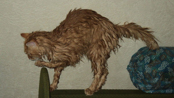 Екатерина П