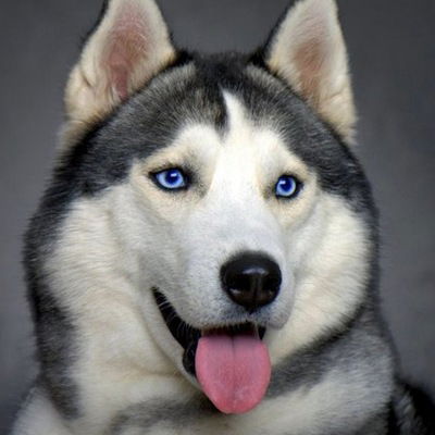 Денис Мануйлов