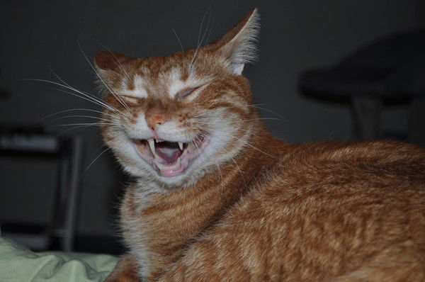 Vadim Демьянчук