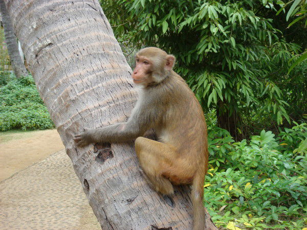 Руслан Ковалев