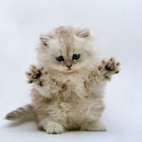 Саша Фидлер