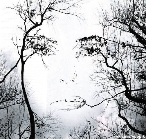 Виктория Чехонадских