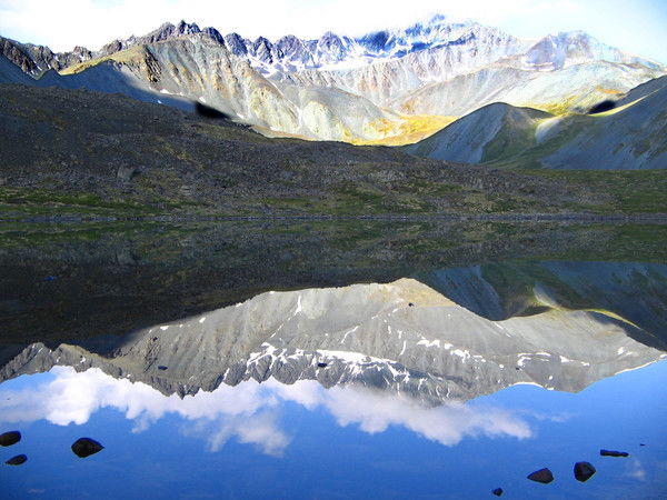 Марина Мальгина